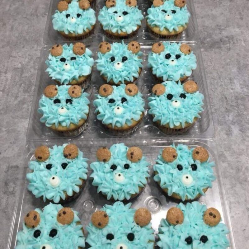 1 dozen Baby Bear Cupcakes